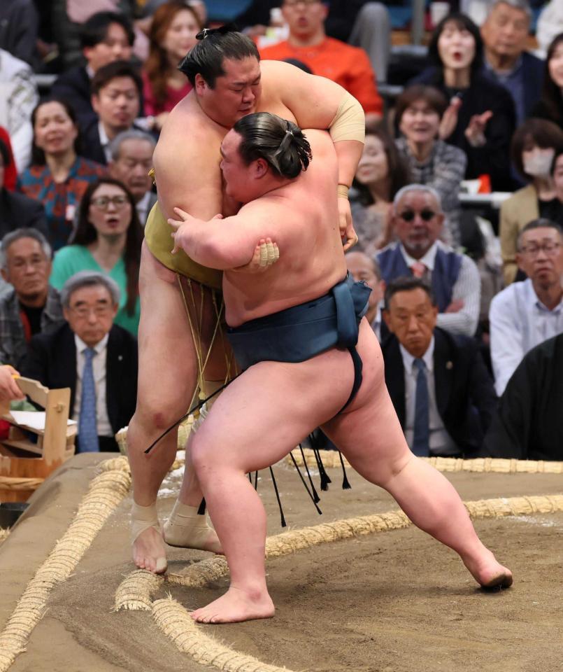 　輝（左）を寄り切りで破る白熊（撮影・石井剣太郎）