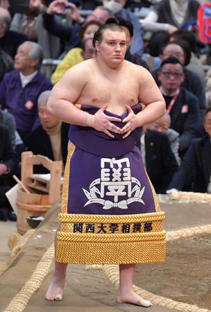 新入幕の安青錦が敢闘賞に　技能賞は高安　殊勲賞は優勝条件の４人が対象　春場所・三賞受賞者発表