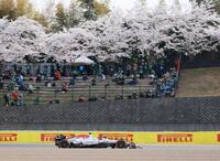 　咲き誇る桜の下、好走するレッドブル・ホンダの角田裕毅。Ｑ２敗退に終わり１５番手（撮影・神子素慎一）