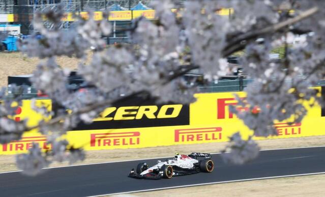 　満開の桜の下、快走するレッドブルの角田裕毅（撮影・神子素慎一）