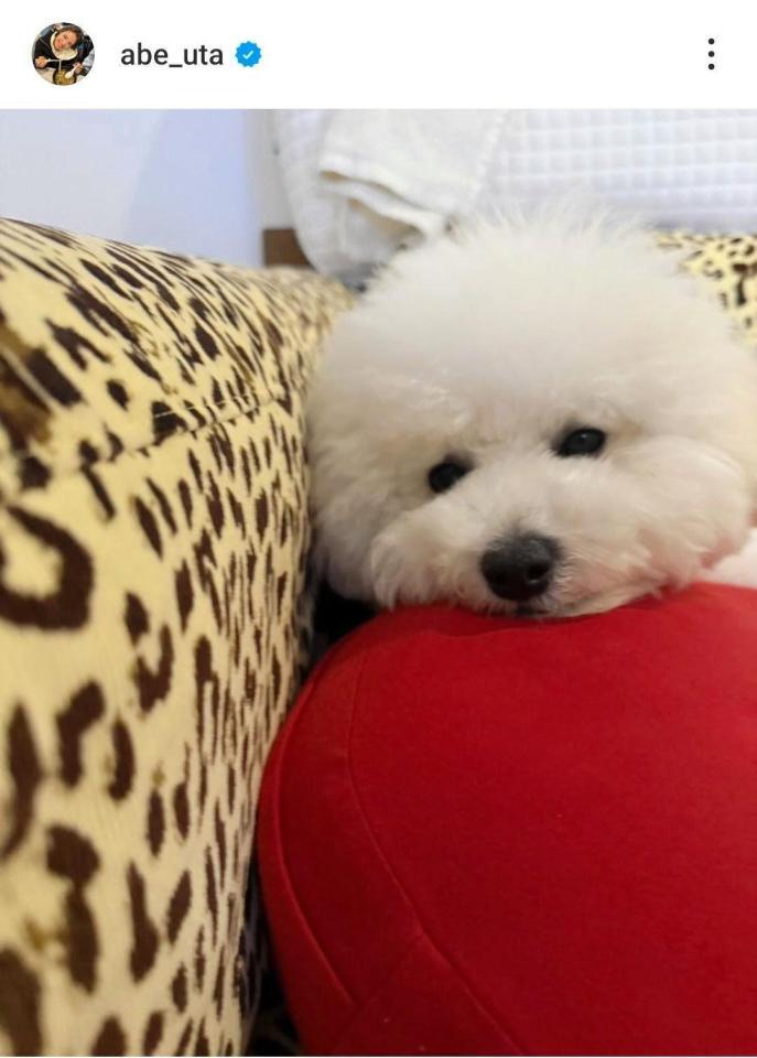 　阿部詩のインスタグラム（＠ａｂｅ＿ｕｔａ）から