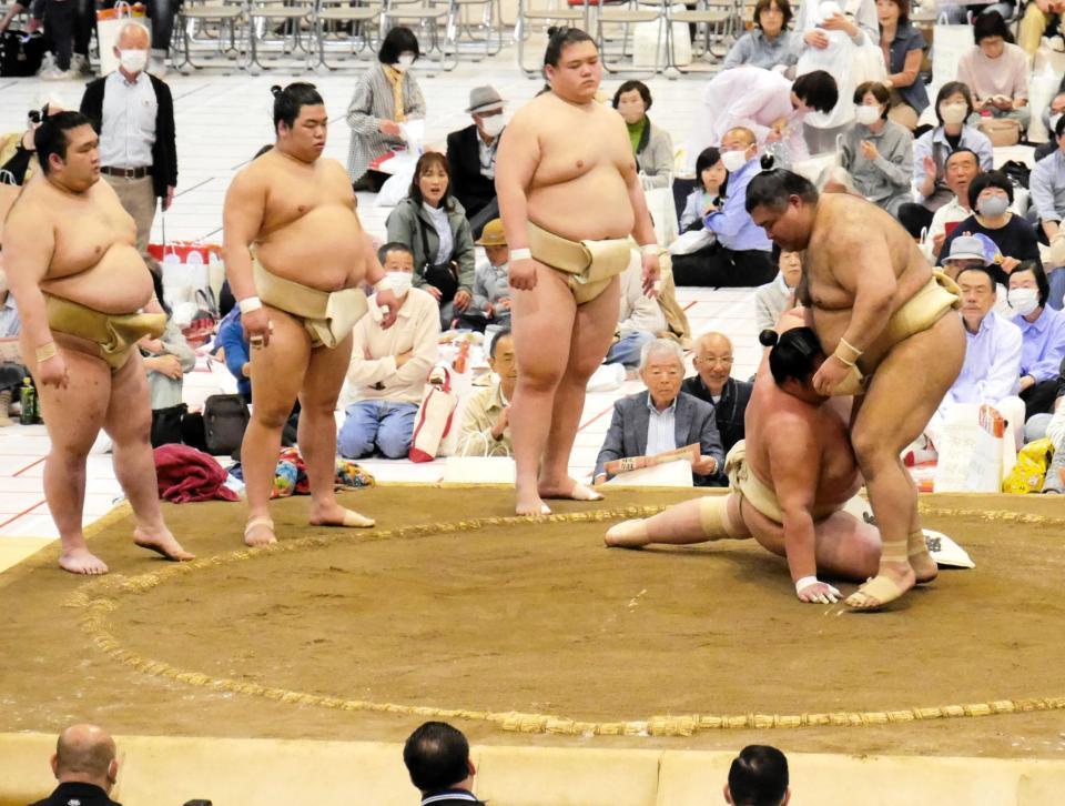 　琴桜を転がす高安