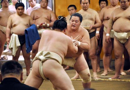 　二所ノ関一門の連合稽古で相撲を取る琴桜（手前右）＝千葉県松戸市の佐渡ケ嶽部屋