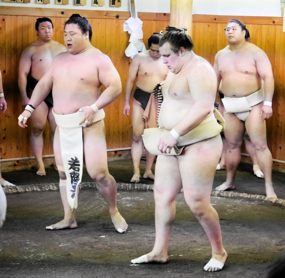 　出稽古で若隆景を相手にした安青錦（右）