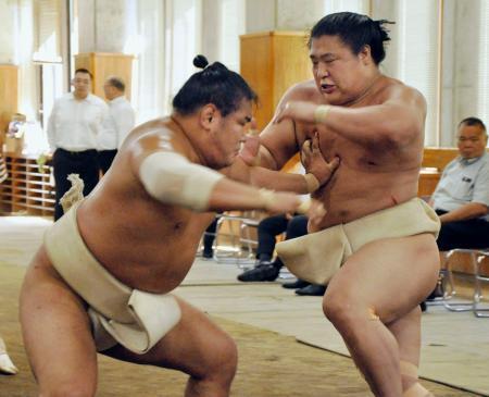 　時津風一門の連合稽古で、若隆景（右）と相撲を取る豊昇龍＝両国国技館の相撲教習所