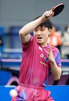 　世界選手権に向け練習する張本智和