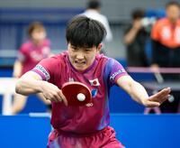 　世界選手権に向け練習する張本智和