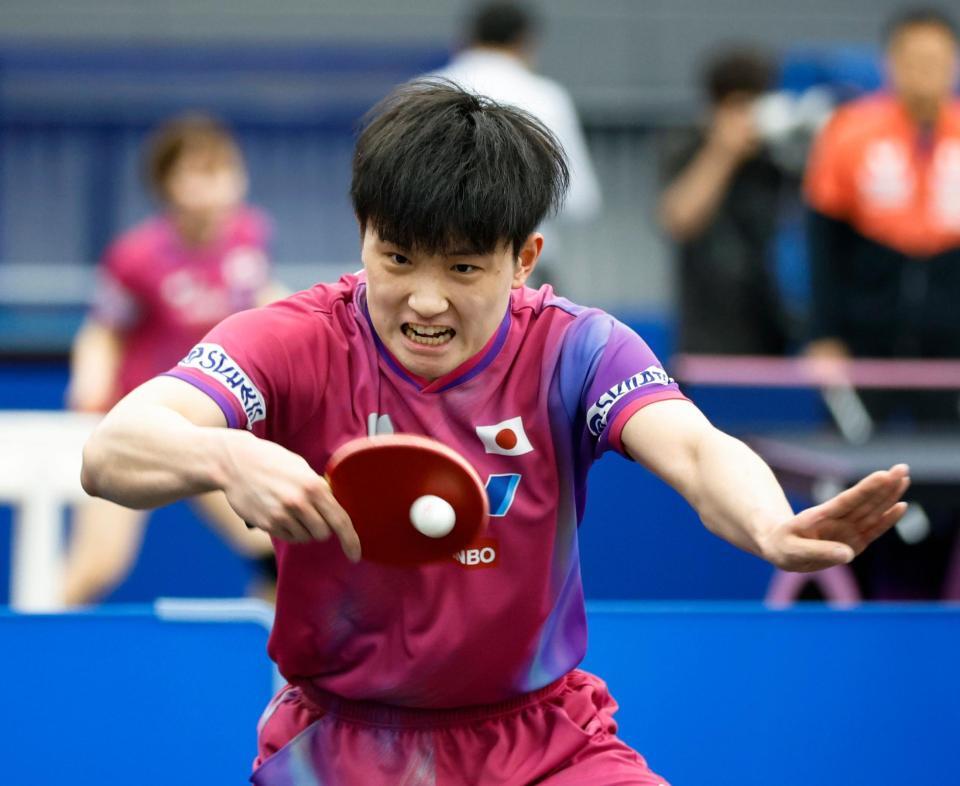 　世界選手権に向け練習する張本智和