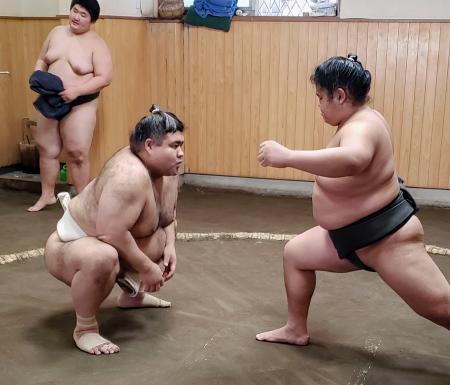 小結・高安、大関復帰へ強い決意 10月のロンドン公演も視野