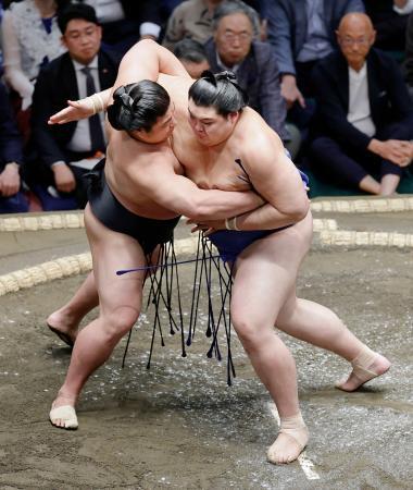 　若元春（左）を攻める大の里。寄り切りで下す＝両国国技館