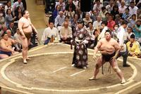 　王鵬（左）に肩すかしで敗れた琴桜