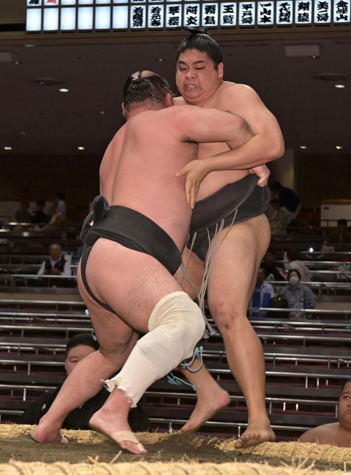 　朝乃丈（左）に寄り切りで敗れた冨蘭志壽（撮影・持木克友）