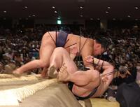 　若元春（下）を寄り倒しで下した豊昇龍（撮影・佐々木彰尚）