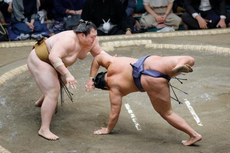 　王鵬（左）がはたき込みで豊昇龍を破る＝両国国技館