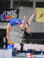 　岡慎之助のゆかの演技