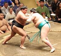 　一山本（右）を攻める伯桜鵬