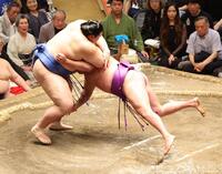 　尊富士（右）を叩き込みで破る大の里