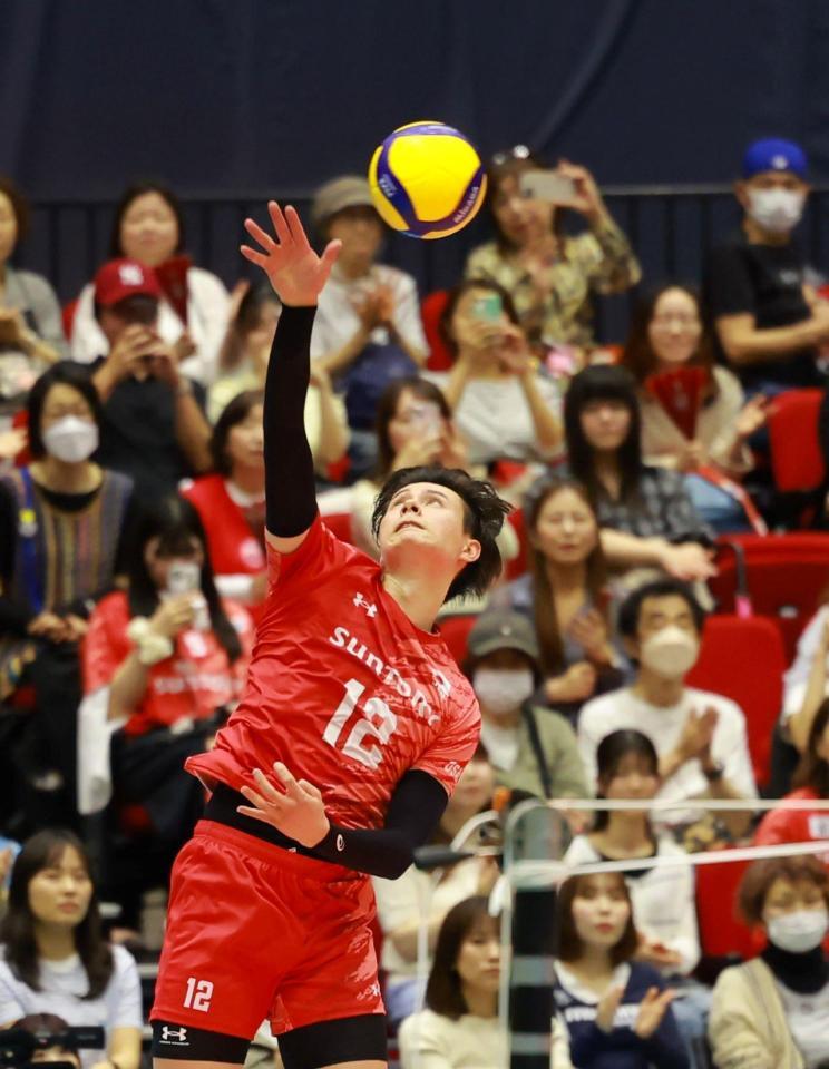 　サーブを打つサントリー・高橋藍（撮影・石湯恒介）