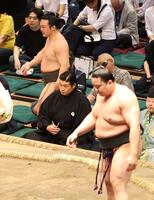 　朝日龍（右）に決め出しで敗れた炎鵬