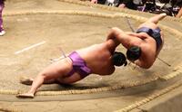 　尊富士（左）を小手投げで破る豊昇龍