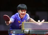 　男子シングルス１回戦でプレーする張本智和（共同）