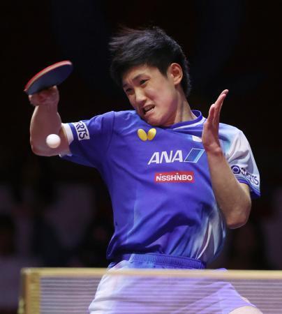 　男子シングルス１回戦でプレーする張本智和＝ドーハ（共同）