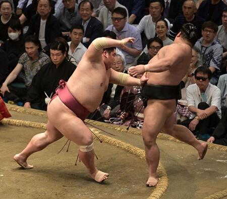 　伯桜鵬（右）を突き出しで下した大栄翔（撮影・持木克友）