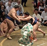 　高安を突き出しで破った平戸海（右）＝撮影・持木克友