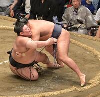 　腰砕けで豊昇龍に敗れ悔しそうな伯桜鵬（左）＝撮影・持木克友