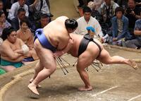 　伯桜鵬（右）をはたき込みで下す大の里（撮影・佐々木彰尚）