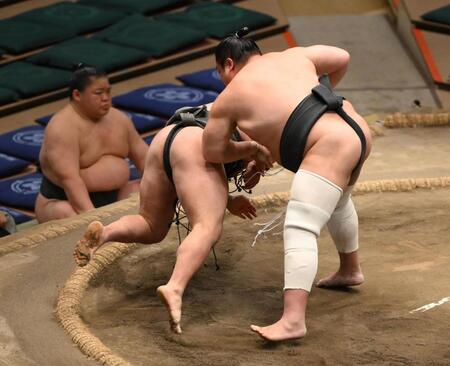 　鳩岡が下手出し投げで琴羽黒を下す（撮影・堀内翔）