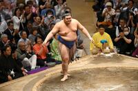 　２場所連続優勝を決めた大の里（撮影・堀内翔）