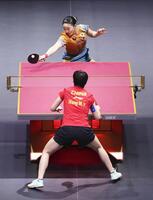 　女子シングルス準々決勝で中国の王曼昱に敗れた張本美和（共同）