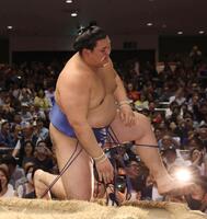 　豊昇龍に敗れた大の里（撮影・佐々木彰尚）