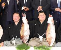 　鯛を手にする新横綱大の里（撮影・佐々木彰尚）