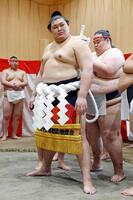 　「綱打ち」で新しい綱を締める横綱大の里