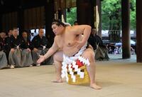 　奉納土俵入りをする横綱・大の里（代表撮影）