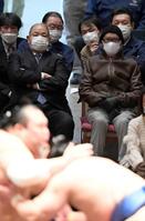 　大相撲初場所を観戦する長嶋茂雄さん（後方右）。左は八角理事長＝２２年１月