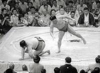 　８０年３月、出羽の花を下す増位山さん