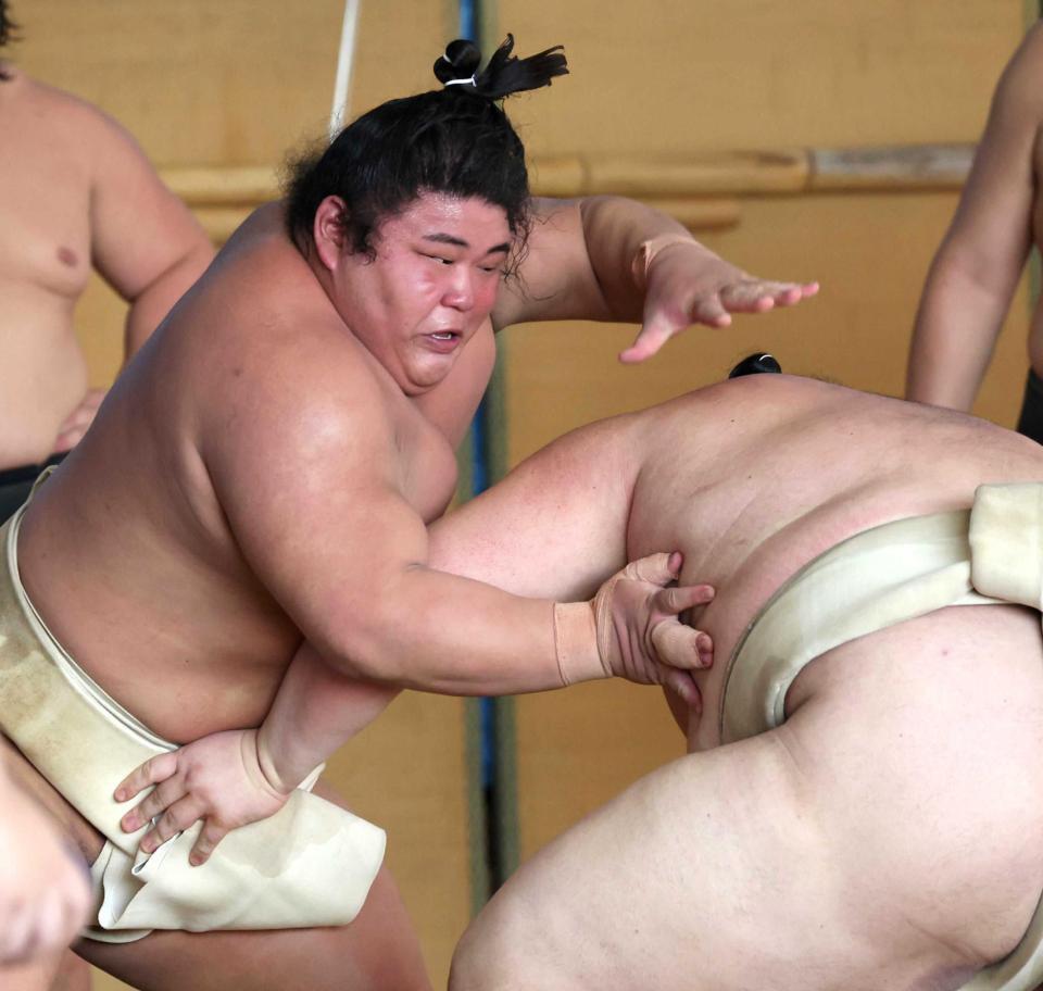 　軽快な動きを見せる伯桜鵬（撮影・中田匡峻）