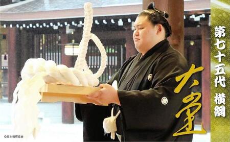 　大の里「唯一無二フレーム切手セット」大型ポストカード図柄　（Ｃ）日本相撲協会