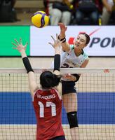 　第２セット、スパイクを放つ佐藤淑乃（撮影・石井剣太郎