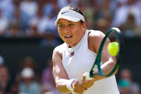 アニシモバが決勝進出　ウィンブルドン第１１日