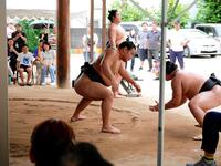 　稽古で胸を出す豊昇龍