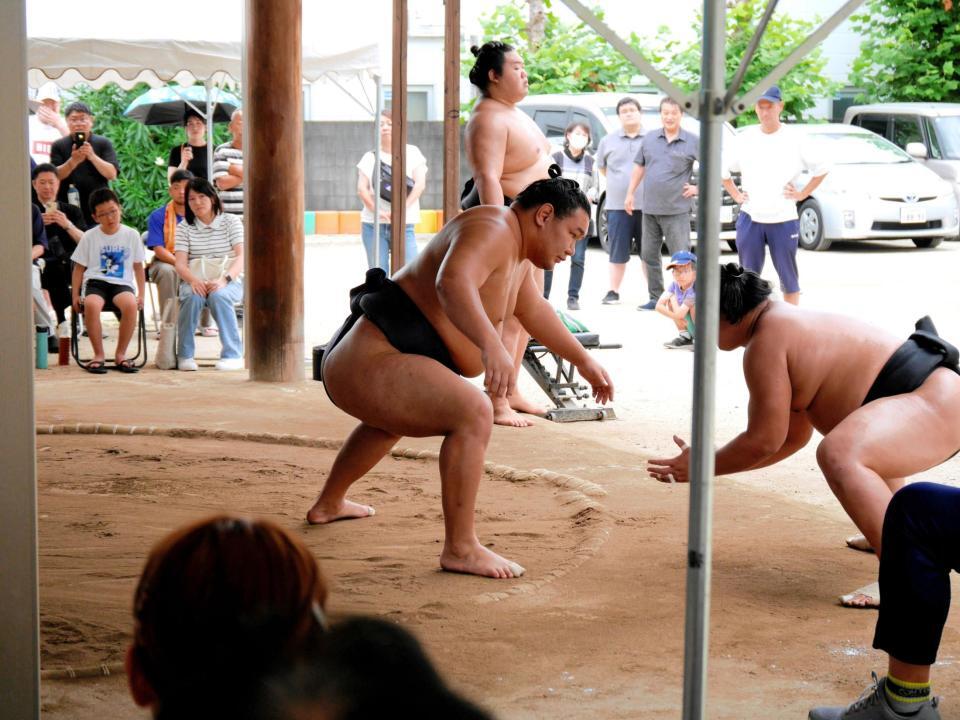 　稽古で胸を出す豊昇龍