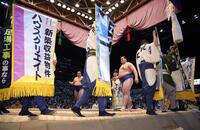 　大の里の取り組みには多数の懸賞が掲げられた（撮影・坂部計介）