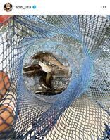 阿部詩のインスタグラム＠ａｂｅ＿ｕｔａから