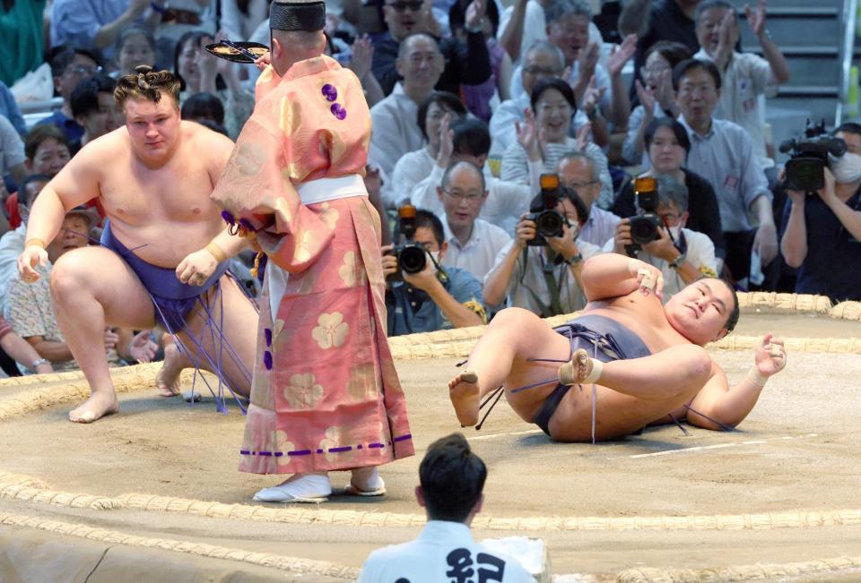 も　豊昇龍関反物 豊昇龍 浴衣反物 相撲