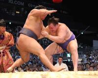 　低い姿勢で豊昇龍の懐に入り込む安青錦