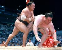 　霧島（左）が送り倒しで金峰山を下す